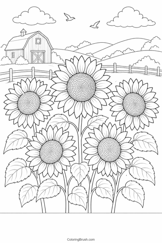 Sunflower Field By Barn printable sunflower coloring page