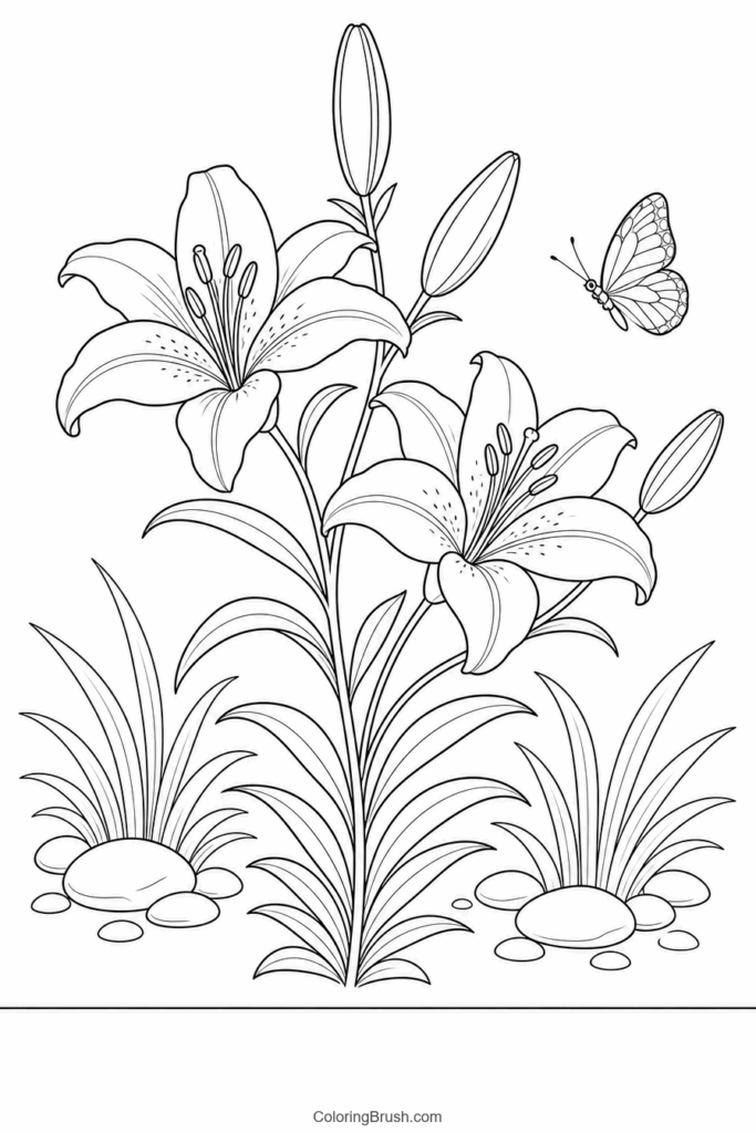 Tiger Lily Stem printable lily coloring page